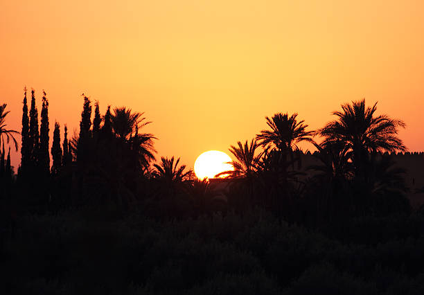 Tour de 4 días desde Casablanca a Marrakech por el desierto