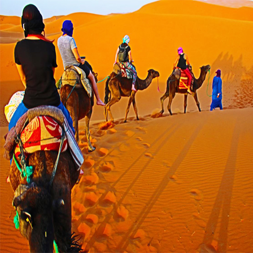 3 days in Tangier tour on Morocco Von Tanger nach Marrakesch 5-tägige Wüstenreise 6-tägige Tanger-Wüstentour nach Marrakesch 4-tägige Wüstenreise von Tanger nach Marrakesch Excursiones desde Tangier en Marruecos Tour in Marocco da Tangeri Tour nel deserto di 2 giorni da Ouarzazate 11 Days Tangier tour to Marrakech 11 day Morocco tour from Casablanca to Marrakech viajes Marruecos 10 días desde Casablanca Viaje de 4 días desde Agadir a Merzouga viajar a Marruecos 7 días desde Casablanca Marrakech a Zagora in 3 giorni di tour deserto Casablanca trip to Marrakech 7 days Morocco 6 days trip to Marrakech from Tangier and desert Tour de 9 días Casablanca a Marrakech