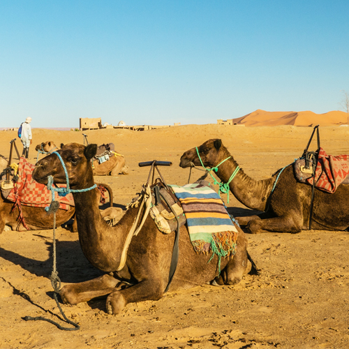 Grand Tour 10 giorni da Tangeri via il deserto