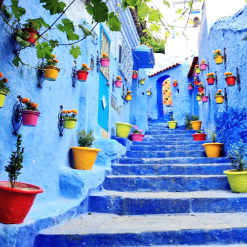 3 days in Tangier tour on Morocco 4-tägige Wüstenreise von Tanger nach Marrakesch Excursiones desde Tangier en Marruecos Tour in Marocco da Tangeri Tour nel deserto di 2 giorni da Ouarzazate 11 Days Tangier tour to Marrakech 11 day Morocco tour from Casablanca to Marrakech viajes Marruecos 10 días desde Casablanca Viaje de 4 días desde Agadir a Merzouga Itinerario da Tangier a Marrakech Miglior itinerario da Tangeri a Marrakech Marocco 4 Casablanca trip to Marrakech 7 days Morocco 6 days trip to Marrakech from Tangier and desert Tour de 9 días Casablanca a Marrakech viajar a Marruecos 7 días desde Casablanca