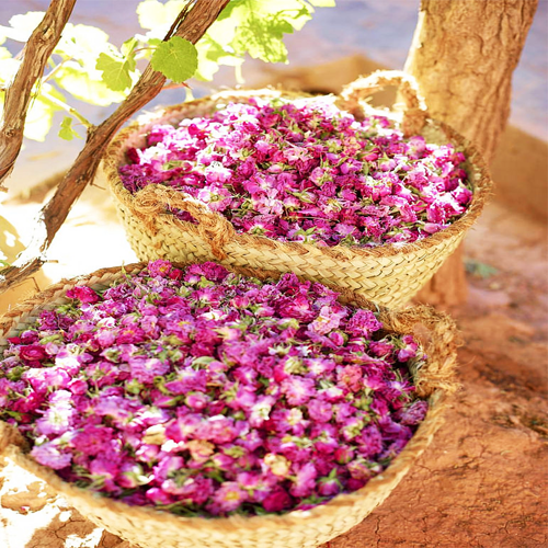 Fes a Marrakech 4 giorni di viaggio nel deserto