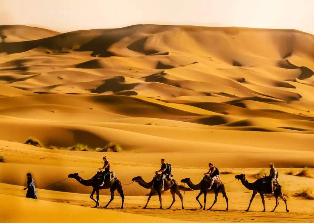 13 days desert tour from Agadir Morocco 2 day trip from Essaouira Marrakesch nach Merzouga 4 Tage Wüstentour Marokko 2-tägige Reise von Agadir nach Zagora 3-tägige Tour nach Merzouga ab Agadir und Wüste Viajes al desierto de Marruecos desde Fez Excursiones desde Agadir Miglior tour di 5 giorni da Marrakech Ruta de 5 días desde Marrakech a Fez Morocco trips from Agadir tour da Fez a Marrakech 5 giorni Marocco Itinerario 8 giorni a Marrakech Escursioni in Marocco Escursione di un giorno al deserto di Agafay Viaje de 2 días Agadir a Zagora tour de 2 días desde Taghazout excursión de un día al desierto de Agafay desde Marrakech Excursión de 2 días desde Essaouira Excursión de 2 días al desierto desde Ouarzazate Marrakech Desert Tours 2 day desert tour from Ouarzazate to Merzouga 2 giorni di viaggio Agadir a Zagora Viaggio di 4 giorni da Agadir a Merzouga 2 days agadir trip to zagora desert 2 days tour from Marrakech to Merzouga 5 giorni da Fes a Marrakech Tour nel deserto di 3 giorni da Agadir a Merzouga 3 days tour to Merzouga from Agadir and desert tour de 3 días del desierto Agadir a Merzouga