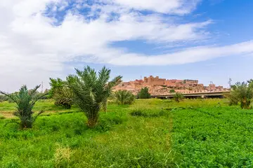 Marrakech a Fes tour nel deserto