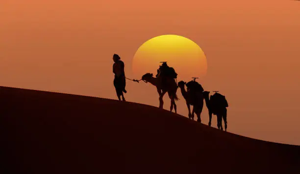 Tour di 2 giorni da Taghazout Giro in cammello Merzouga in 3 notti in Marocco 2 noches excursion en camellos Marrakech a Fes tour nel deserto 2 nights camel trek in Merzouga Sahara